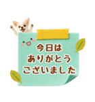 飛び出す癒しチワワのラフな敬語（個別スタンプ：19）