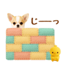 飛び出す癒しチワワのラフな敬語（個別スタンプ：21）