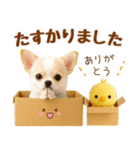 飛び出す癒しチワワのラフな敬語（個別スタンプ：23）