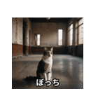 陰キャ用ねこスタンプ（個別スタンプ：2）