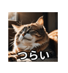 陰キャ用ねこスタンプ（個別スタンプ：3）