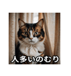 陰キャ用ねこスタンプ（個別スタンプ：5）
