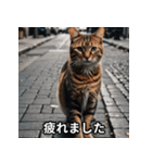 陰キャ用ねこスタンプ（個別スタンプ：7）