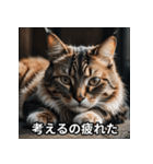 陰キャ用ねこスタンプ（個別スタンプ：11）