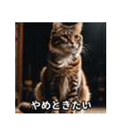 陰キャ用ねこスタンプ（個別スタンプ：12）