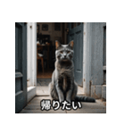陰キャ用ねこスタンプ（個別スタンプ：13）