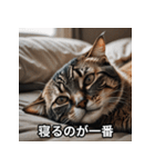 陰キャ用ねこスタンプ（個別スタンプ：17）