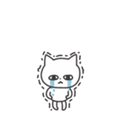 ◉みんなで使える猫◉（個別スタンプ：36）