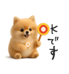 毎日ポメさん✳︎いつもありがとう（個別スタンプ：6）