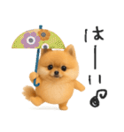 毎日ポメさん✳︎いつもありがとう（個別スタンプ：8）