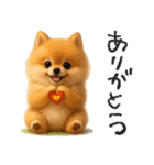 毎日ポメさん✳︎いつもありがとう（個別スタンプ：9）