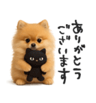 毎日ポメさん✳︎いつもありがとう（個別スタンプ：11）