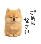 毎日ポメさん✳︎いつもありがとう（個別スタンプ：13）