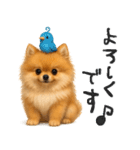 毎日ポメさん✳︎いつもありがとう（個別スタンプ：14）