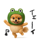 毎日ポメさん✳︎いつもありがとう（個別スタンプ：19）