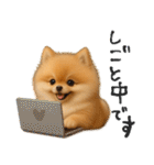 毎日ポメさん✳︎いつもありがとう（個別スタンプ：22）
