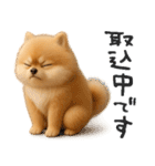 毎日ポメさん✳︎いつもありがとう（個別スタンプ：23）
