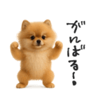 毎日ポメさん✳︎いつもありがとう（個別スタンプ：26）