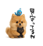 毎日ポメさん✳︎いつもありがとう（個別スタンプ：27）