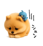 毎日ポメさん✳︎いつもありがとう（個別スタンプ：31）