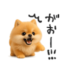 毎日ポメさん✳︎いつもありがとう（個別スタンプ：32）