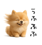 毎日ポメさん✳︎いつもありがとう（個別スタンプ：34）