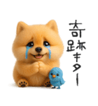 毎日ポメさん✳︎いつもありがとう（個別スタンプ：35）