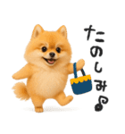 毎日ポメさん✳︎いつもありがとう（個別スタンプ：37）