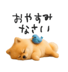 毎日ポメさん✳︎いつもありがとう（個別スタンプ：40）