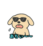 夏を満喫中のサングラス動物たち（個別スタンプ：1）
