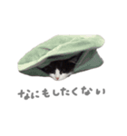 ぼくはごまちゃん（個別スタンプ：3）
