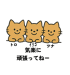 トロイリコツナたまに犬（個別スタンプ：20）