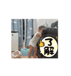 TIHAYA STANP（個別スタンプ：1）