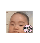 TIHAYA STANP（個別スタンプ：3）