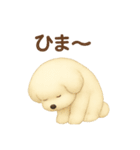 ゆらちゃんのスタンプ④（イラストver.）（個別スタンプ：15）
