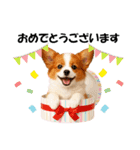 かわいいパピヨンの犬スタンプ4(イベント)（個別スタンプ：4）
