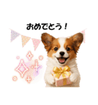 かわいいパピヨンの犬スタンプ4(イベント)（個別スタンプ：5）