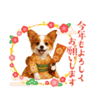 かわいいパピヨンの犬スタンプ4(イベント)（個別スタンプ：13）