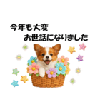 かわいいパピヨンの犬スタンプ4(イベント)（個別スタンプ：23）