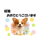 かわいいパピヨンの犬スタンプ4(イベント)（個別スタンプ：32）