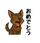 琉球犬の日常スタンプ2（個別スタンプ：1）