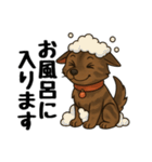 琉球犬の日常スタンプ2（個別スタンプ：9）