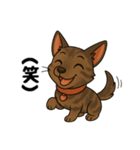 琉球犬の日常スタンプ2（個別スタンプ：13）
