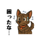 琉球犬の日常スタンプ2（個別スタンプ：14）