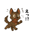 琉球犬の日常スタンプ2（個別スタンプ：19）
