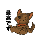 琉球犬の日常スタンプ2（個別スタンプ：20）