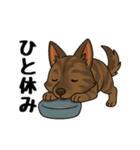 琉球犬の日常スタンプ2（個別スタンプ：22）