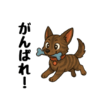 琉球犬の日常スタンプ2（個別スタンプ：24）