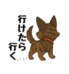 琉球犬の日常スタンプ2（個別スタンプ：25）