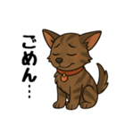 琉球犬の日常スタンプ2（個別スタンプ：26）